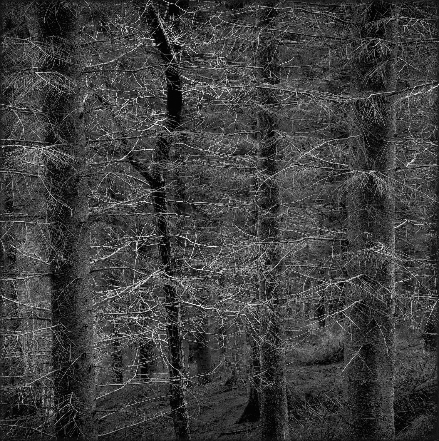 Truncated photobook by Paul Hart — PAUL HART